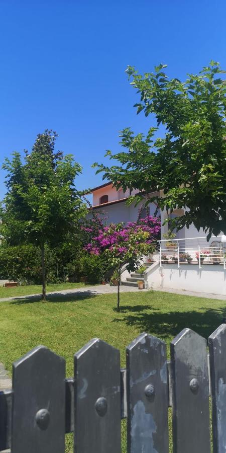 B&B Villa La Bouganville Camaiore Exterior photo