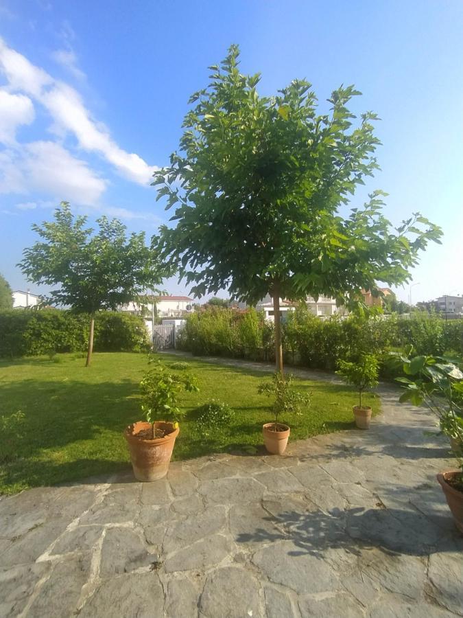 B&B Villa La Bouganville Camaiore Exterior photo