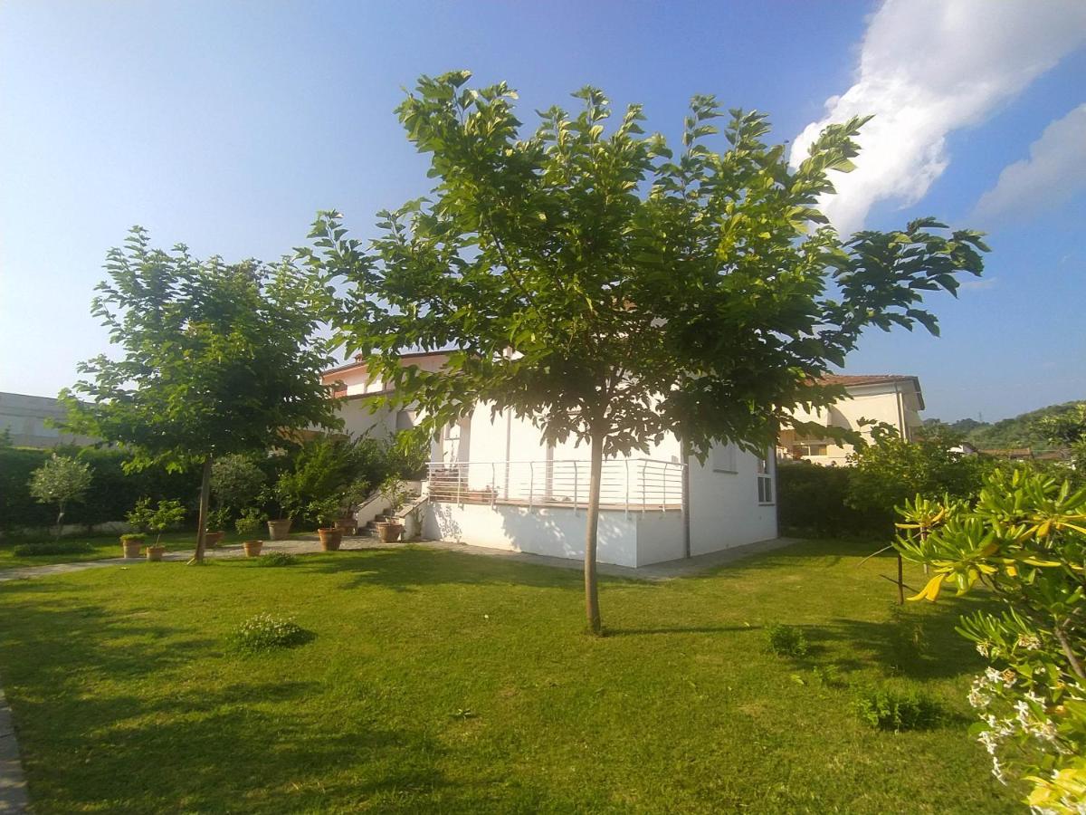 B&B Villa La Bouganville Camaiore Exterior photo