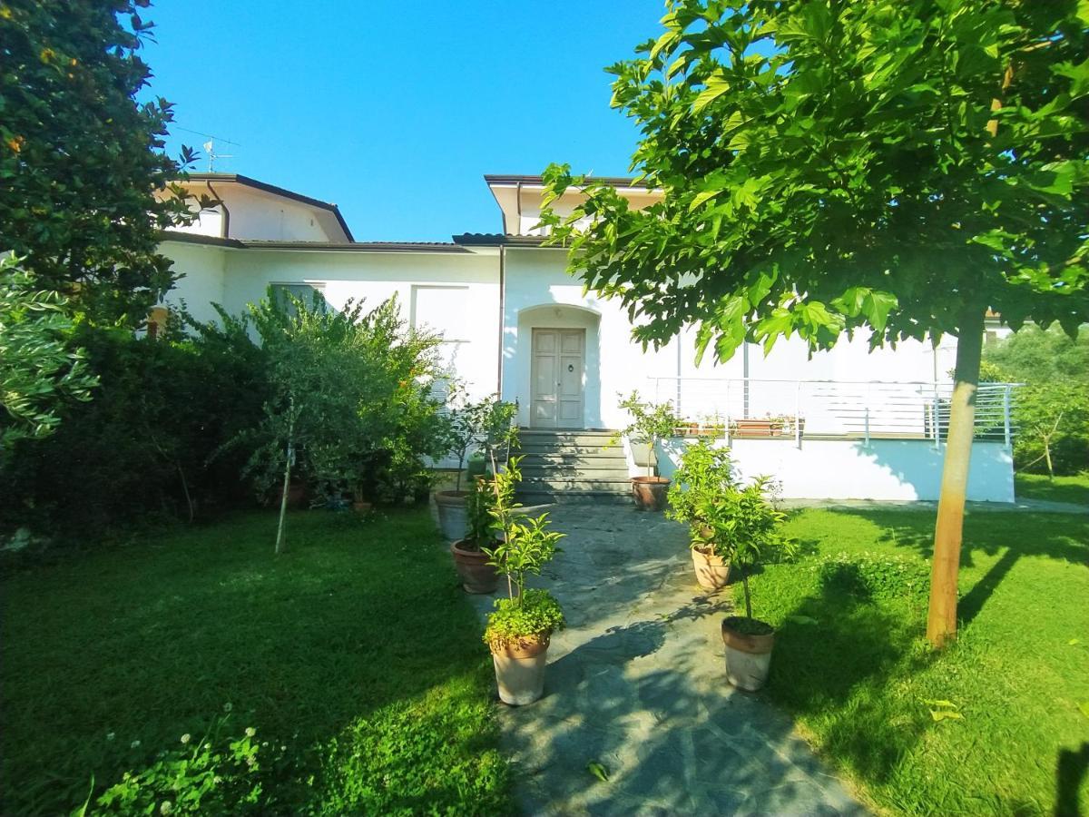 B&B Villa La Bouganville Camaiore Exterior photo