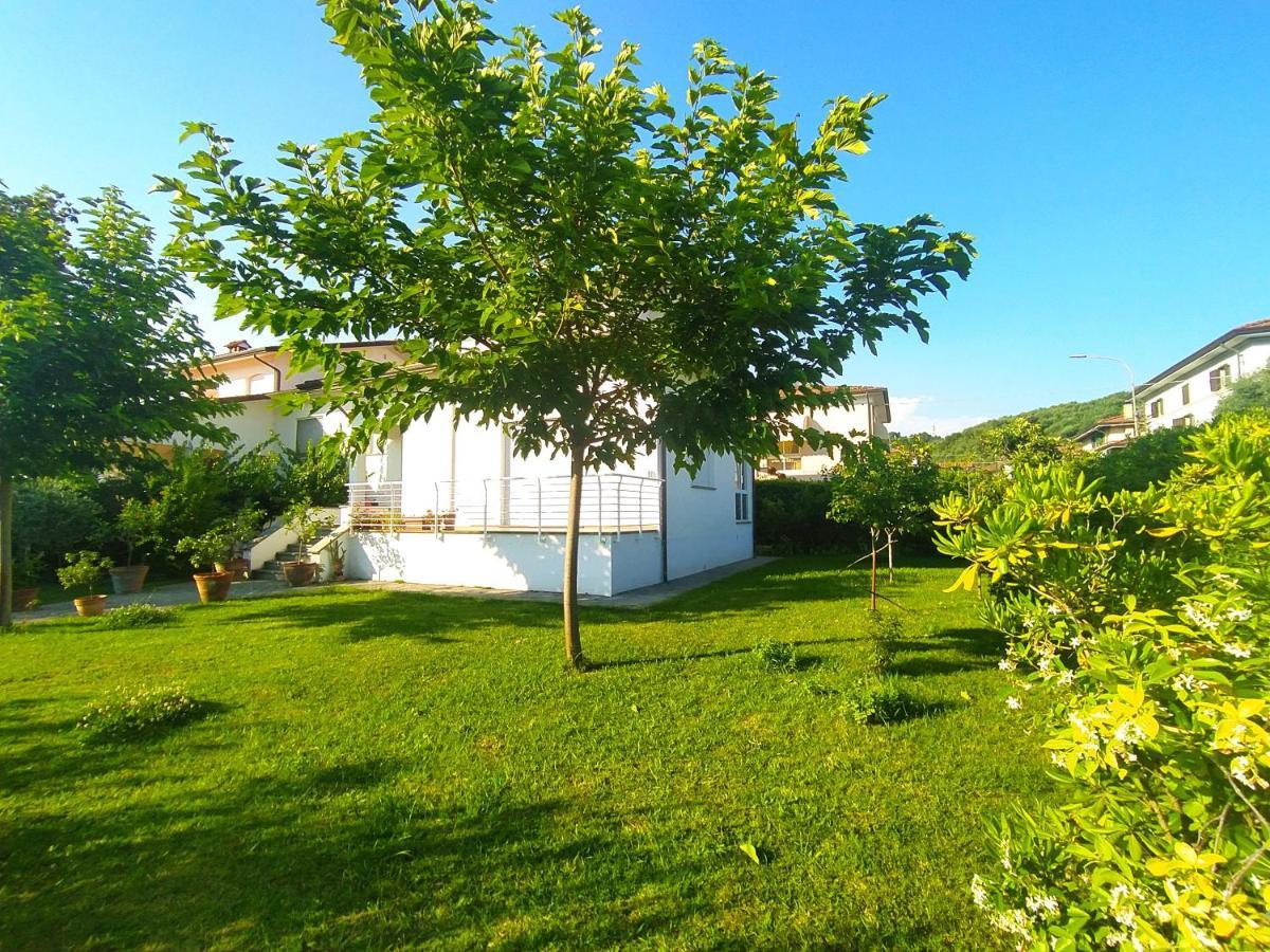 B&B Villa La Bouganville Camaiore Exterior photo