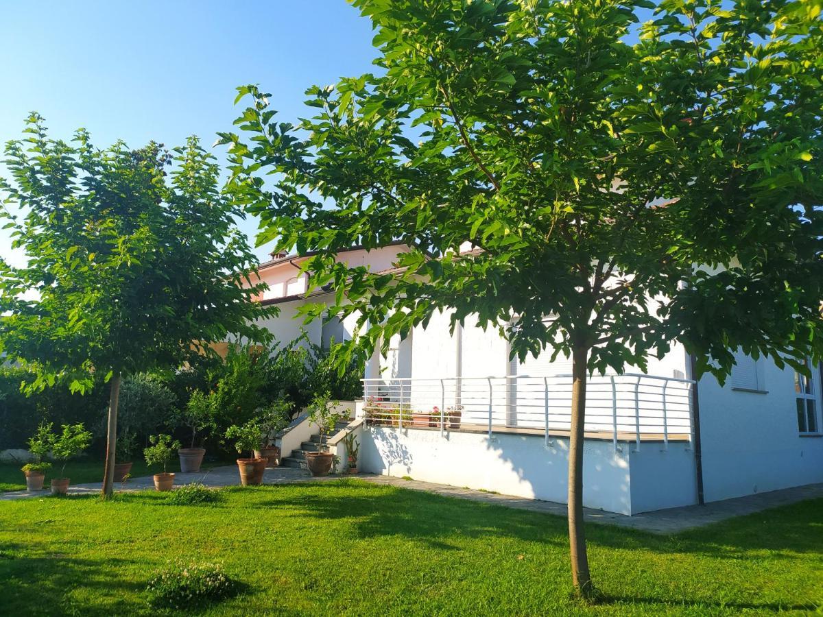 B&B Villa La Bouganville Camaiore Exterior photo
